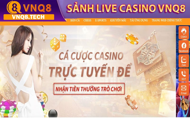 Tổng quan về sảnh game cá cược Live casino vnq8